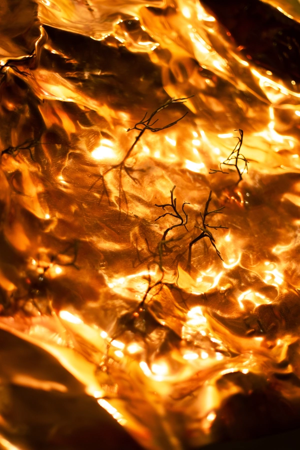 Mental Sunshine from 135°